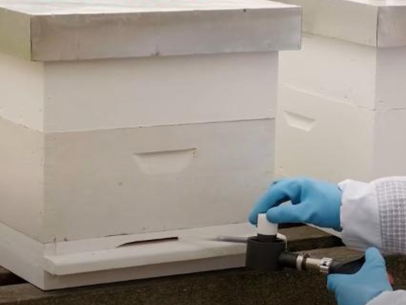 Desinfektion von Bienenstöcken mit Oxalsäure