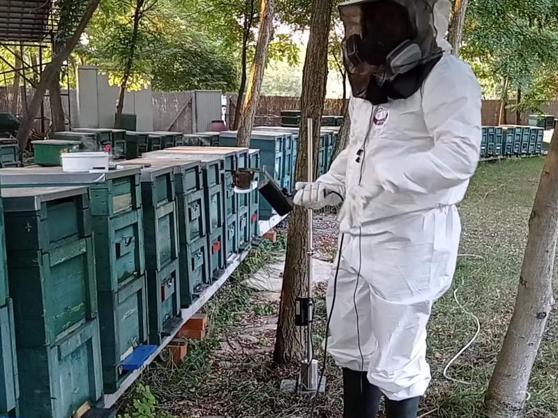 Oxalsäurebehandlung der Bienen