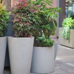 Warum große Blumentöpfe für den Außenbereich mehr Anerkennung verdienen Große Blumentöpfe für den Außenbereich