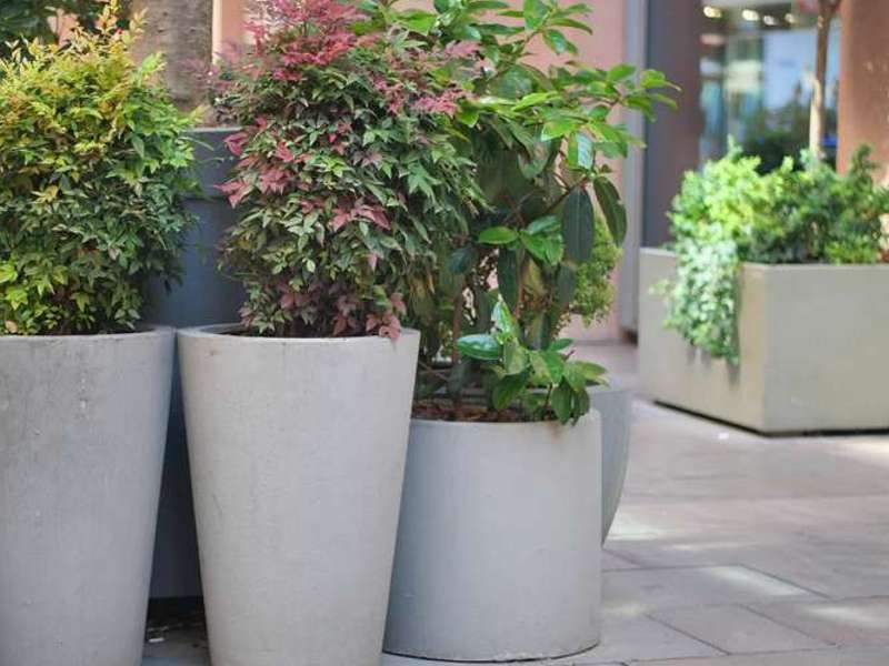 Warum große Blumentöpfe für den Außenbereich mehr Anerkennung verdienen